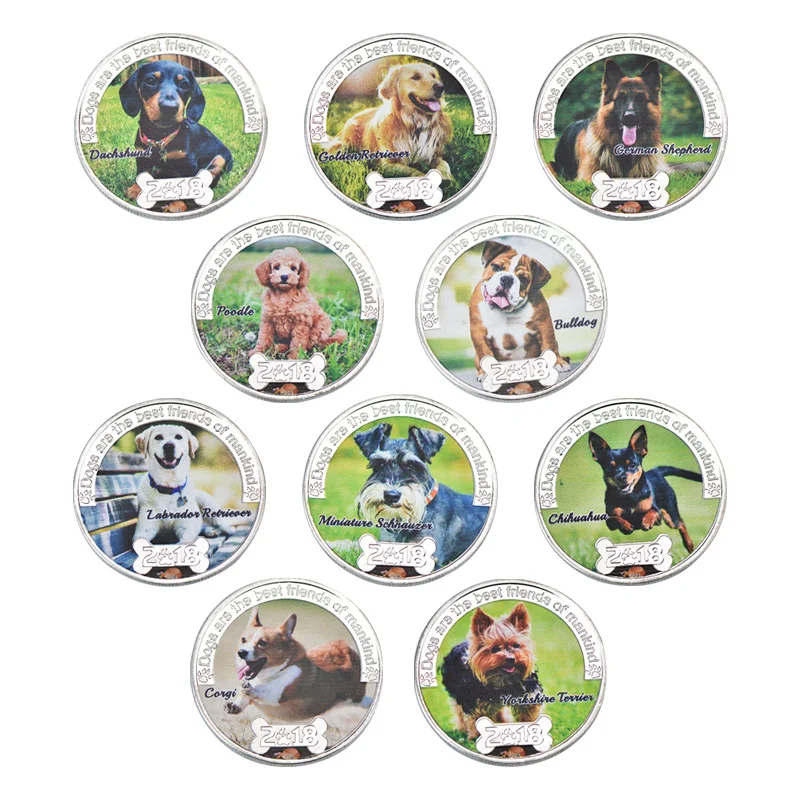 

WR 10pcs Pets Dog Silver Coins Collectibles with Coin Holder Animal Double Sided Original Coin Funny Gift Dropshipping