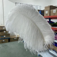 promotion 50pcslot high quality white ostrich feather 26 28inches65 70cm accessories wedding decoration feathers for crafts
