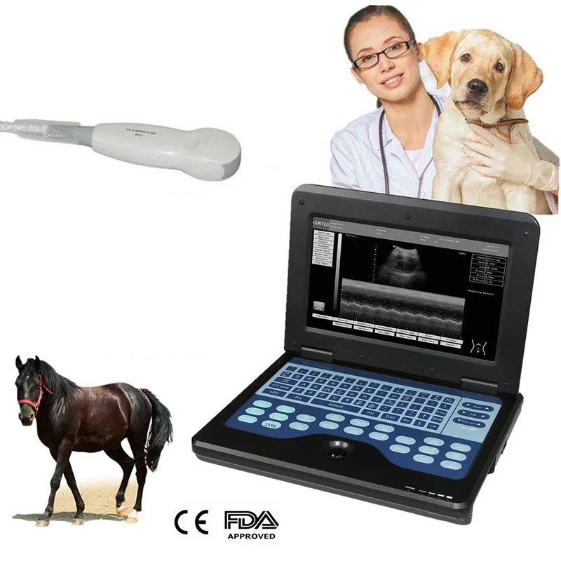 

CMS600P2VET ветеринарные Портативные Ультразвуковые сканер, портативная машина, ультразвуковые системы, ветеринарный микро выпуклый зонд для ж...