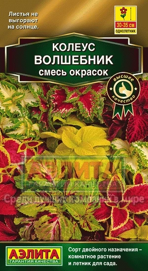 Колеус Блюме Волшебник смесь окрасок 10шт /10 (цена за один пакет) | Дом и сад