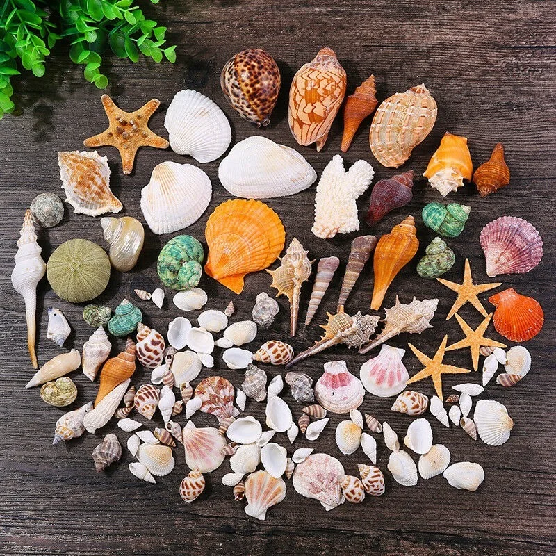 110 г/150 г/330 г/500 г разноцветные пляжные морские ракушки Ракушки Морская звезда