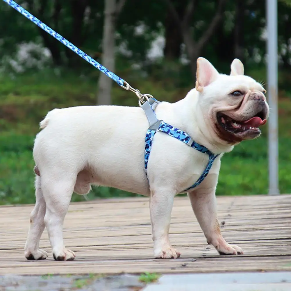 

Набор светоотражающих регулируемых поводков для питомцев, поводок для собак