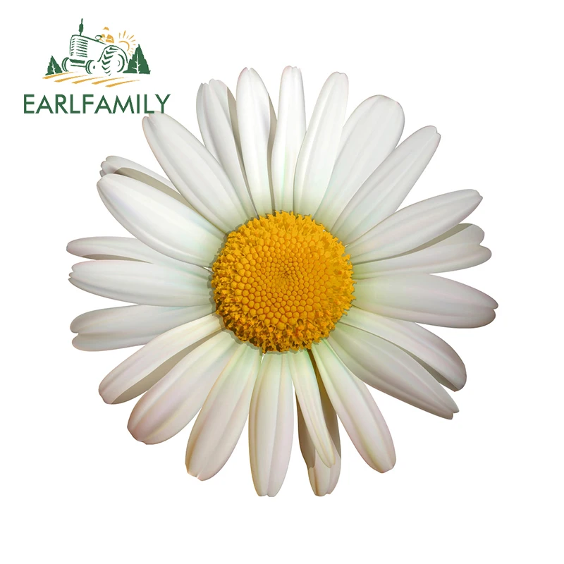

EARLFAMILY 13 см x 13 см для маргаритки, цветок, виниловая лампа, водонепроницаемая наклейка с окклюзией и царапинами, защита от солнца на ветровое стекло