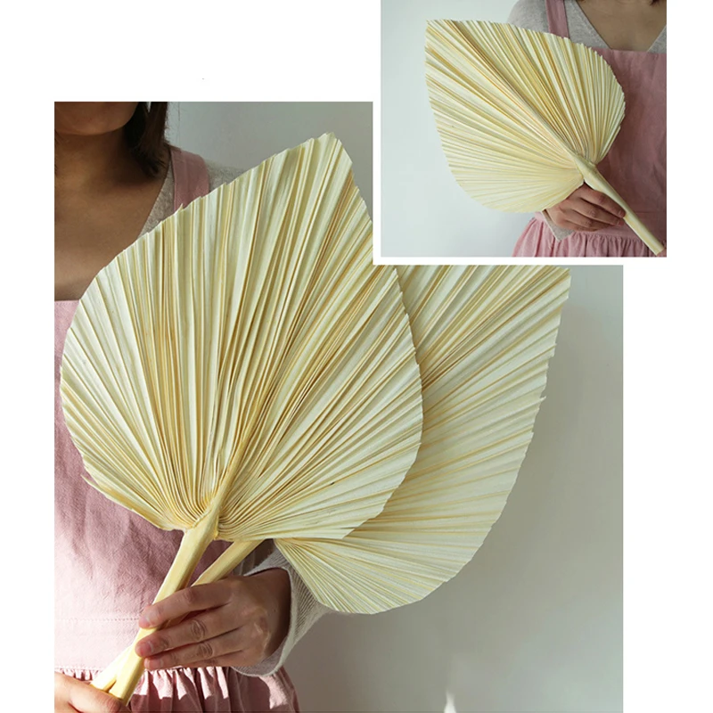Abanico de Palma de hoja seca, decoraci&oacute;n colgante de pared art&iacute;stica para fiesta de recepci&oacute;n, boda, 5 uds.-5