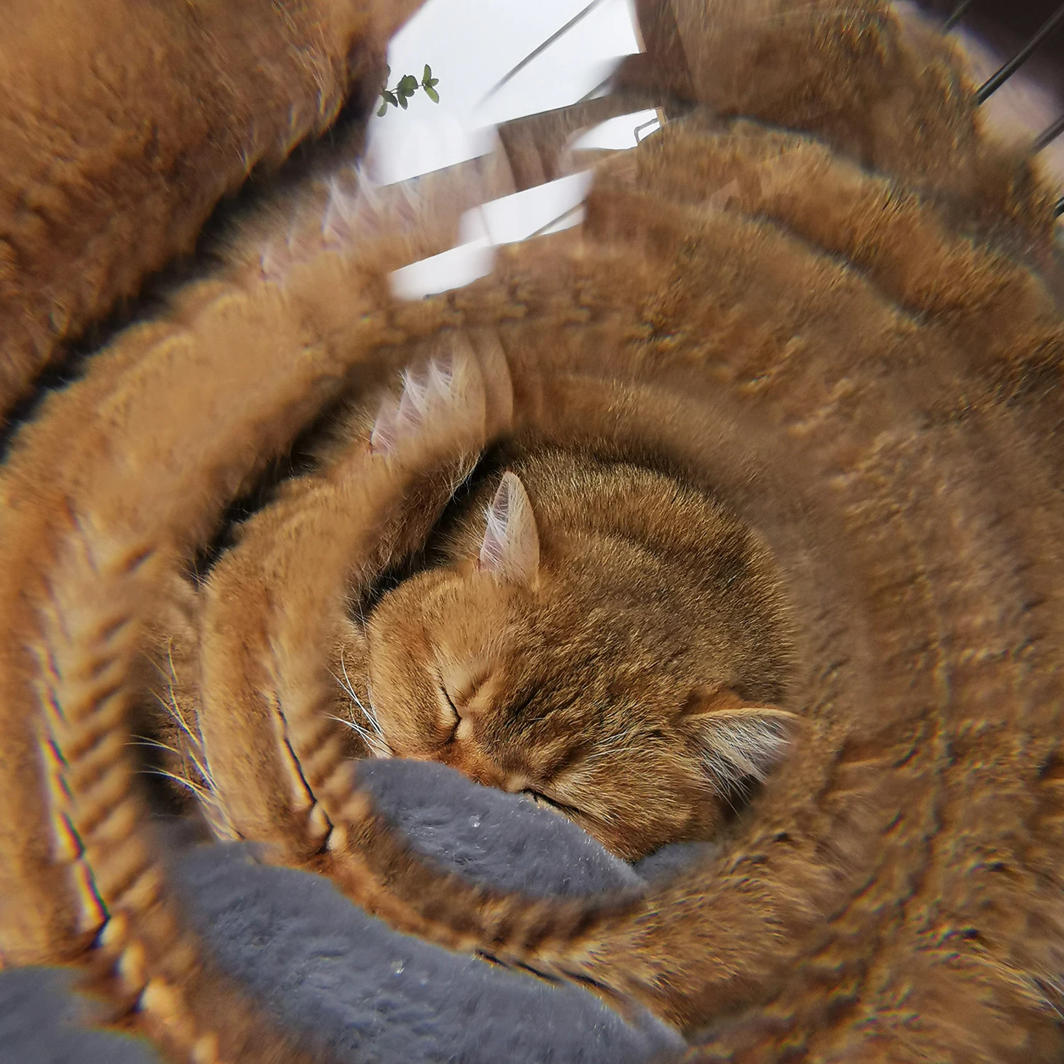 

Handheld Kaleidoscope Filter Special Effects Filter Suitable for All Lenses Camera Accessories Camera Lens Glass Filter Prism