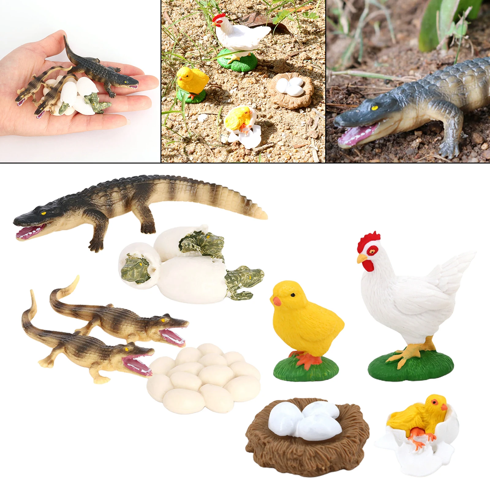 Juego de crecimiento de insectos para el ciclo de la vida, figuras de educaci&oacute;n, juego de rol, fiesta tem&aacute;tica, 2 unidades-2