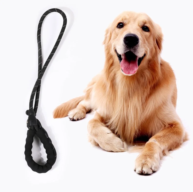 

P Chain Pet Leash One Piece Set of Night Reflective Dog Leash Collar Suitable for Small Medium Large-Sized Dog Pet Supplies