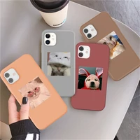 for iphone 7 8 plus 11 pro max 12 mini 6 6s xs max x xr se 2020 cartoon animal pattern candy color cat fundas soft back cover