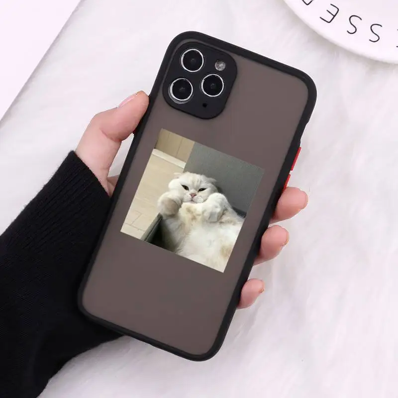

cat Phone Cases matte transparent For black iPhone 7 8 x xs xr 11 12 pro plus max mini Clear Funda