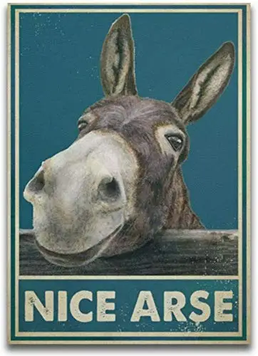 

Nice Arse Funny Donkey Toilet Bathroom Artwork Wall Home Decor Poster no Frame Vintage Style Tin Sign Metal Sign Metal Decor