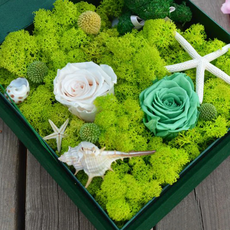 

18Colors 10g/pack Artificial Immortal Moss Simulation Green Grass DIY Festival Micro Landscape Wall Decorative Plant