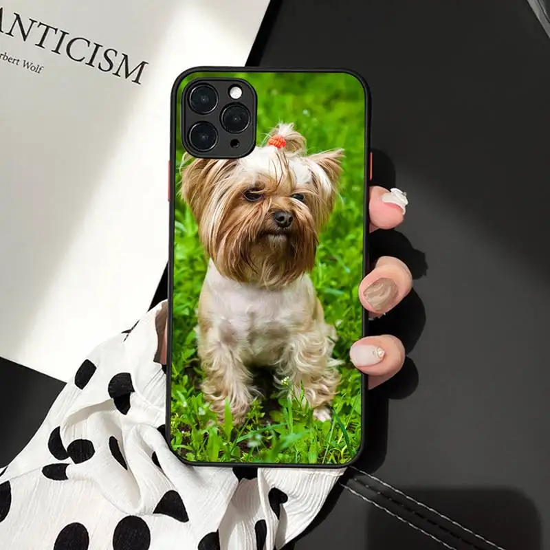 

Phone Case For iPhone 12 11 Mini Pro XR XS Max 7 8 Plus X cute Yorkshire terrier dog Matte transparent cover