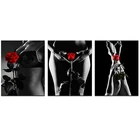 3 Панели, самая популярная вышивка стразы, Алмазная мозаика, сексуальная женская алмазная живопись, роза, цветок, полностью круглая, черная, белая, искусство