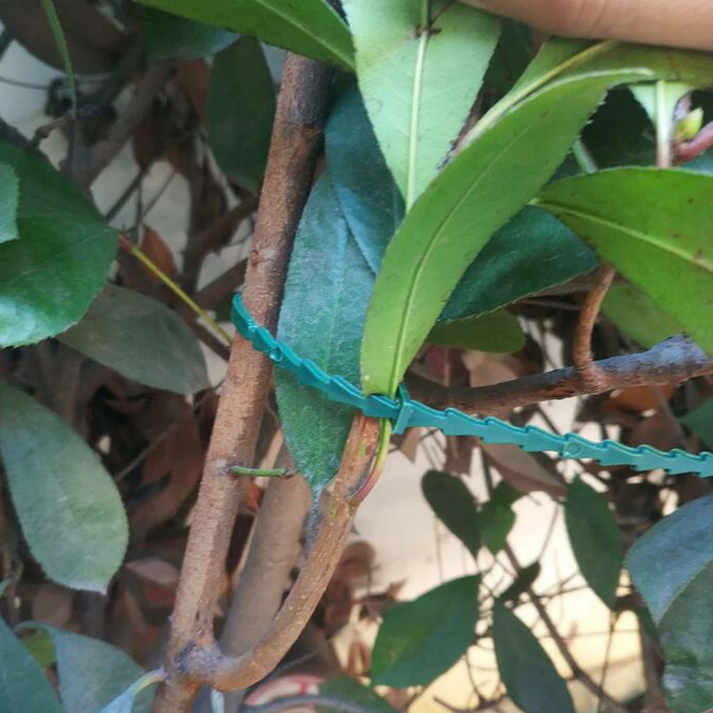 Плетеная проволока с покрытием для сада 13/17/23 см пластиковая опора растений 30/50