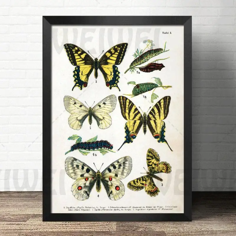 

Canvas Painting Wall Art Biology Animal Poster Blue and Black Butterfly Home Decoration for Living Room Bedroom Waterproof Ink