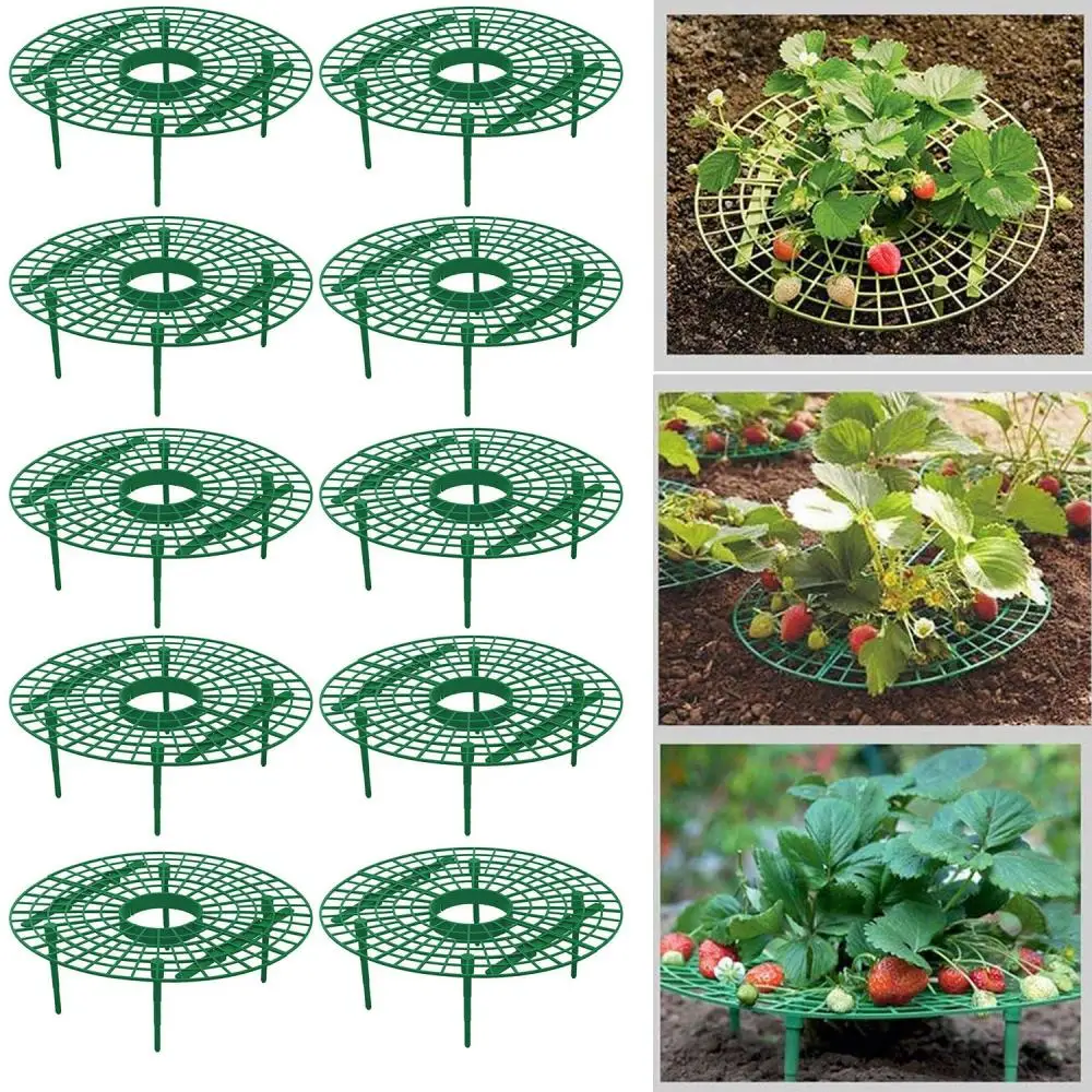 5-20 Pack Strawberry Supports Keeping Plant Fruit Stand Vegetable Growing Rack Garden Tools for Protecting Vines Avoid Ground