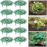 510 pack strawberry supports keeping plant fruit stand vegetable growing rack garden tools for protecting vines avoid ground