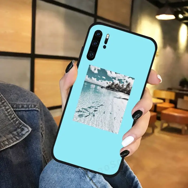 

Great Arrt Summer beach travel Phone Case Funda For Huawei P9 P10 P20 P30 Lite 2016 2017 2019 plus pro P smart