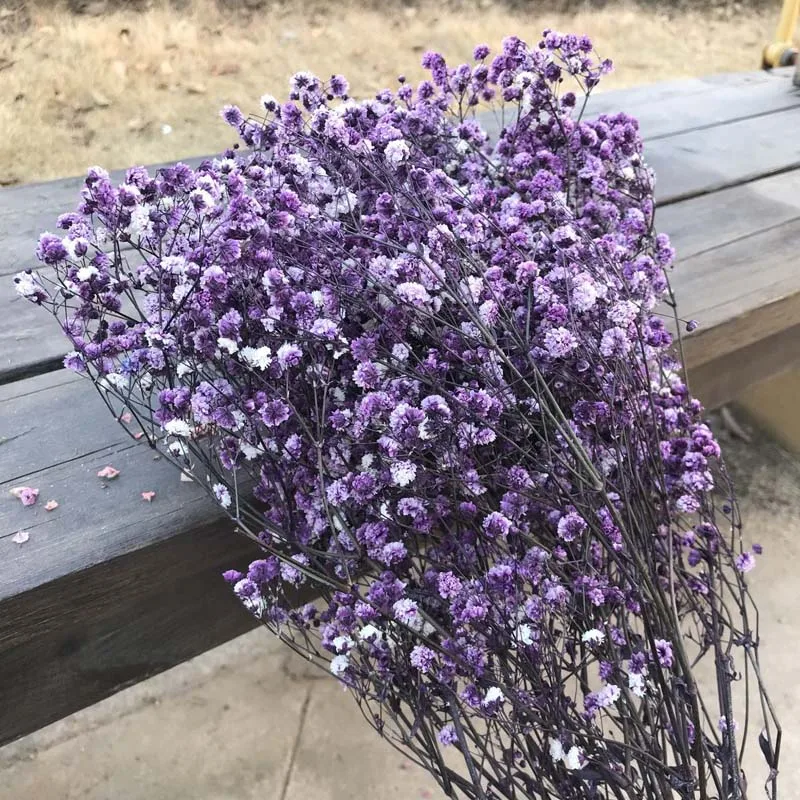 Purple 15-25 см babysbreak естественная свежая сушеная Сохраненная Цветочная ветка, настоящая вечная Цветочная ветка для самостоятельного изготовления вечных цветочных материалов - Color: Purple