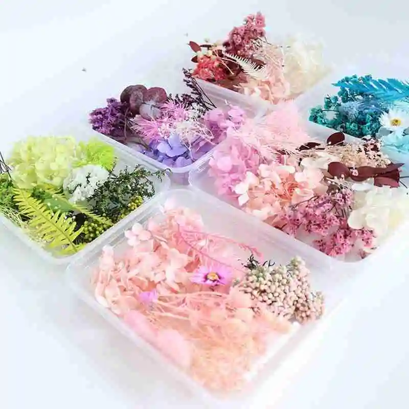 

Perfect Dried Flower Dried Plant Aromatherapy Candle Crafts DIY Pendant Accessories Jewelry Epoxy S1I6