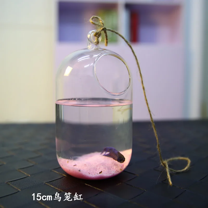 Шар с золотой рыбкой подвесная Аквариумная Рыбка бачок чаша Экосфера цветочное