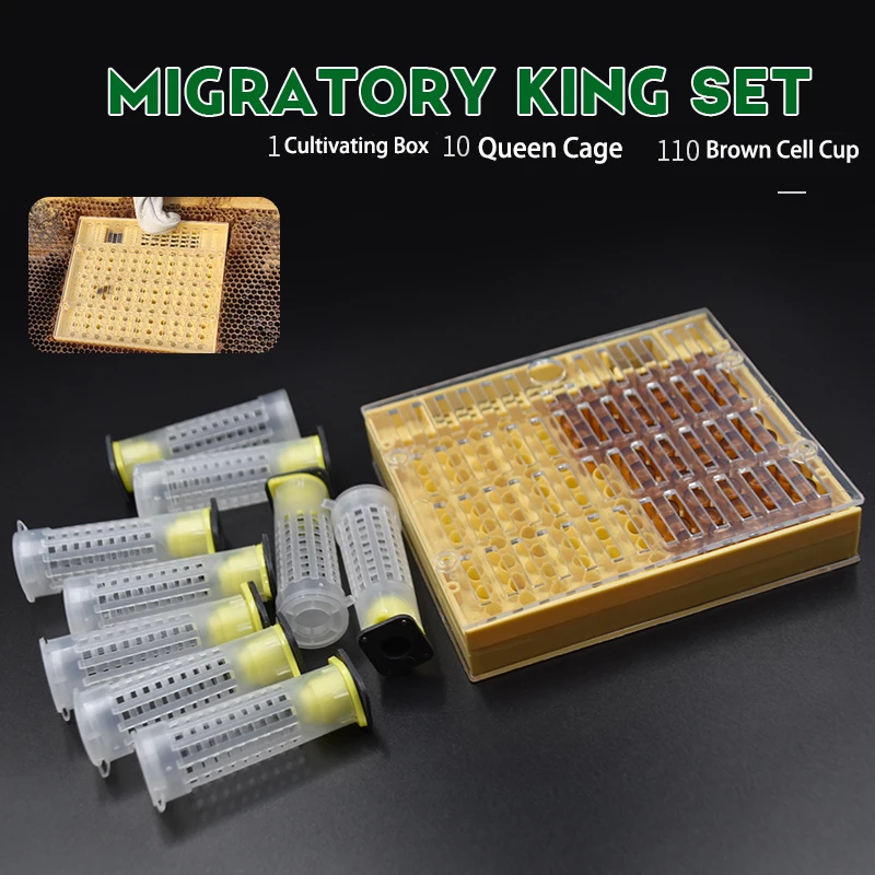

Beekeeping Tools Nicot Queen Rearing System Equipment Set Cultivating Box 110 Plastic Bee Cell Cups Cup kit Queen Cage