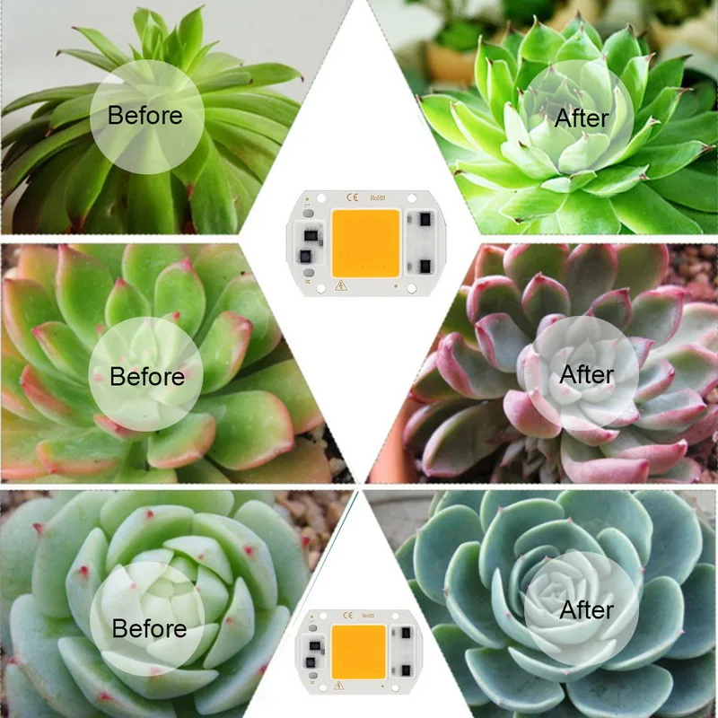 

LED Grow COB Chip Phyto Lamp Full Spectrum AC220V 10W 20W 30W 50W For Indoor Plant Seedling Grow and Flower Growth Fitolamp