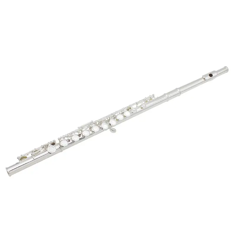 

LADE 16 Keys Close Hole Silver Plated C Flute Brass Instrument With Gloves Mini Screwdriver