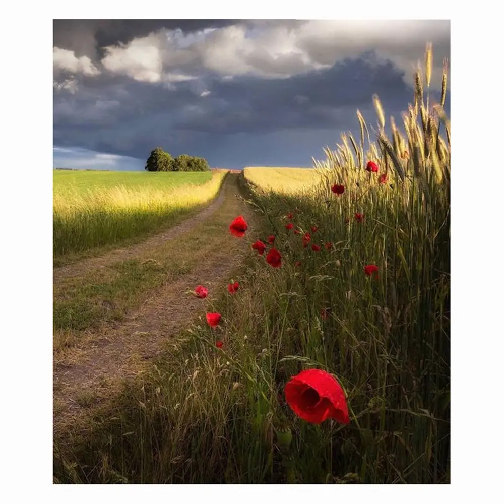 

Full 5D DIY Square Round Diamond Painting"Flower Road"diamond Embroidery Cross Stitch Mosaic Bedroom decoration Gift