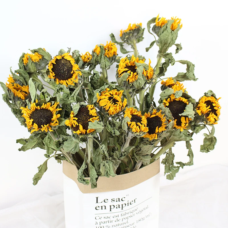

5Pcs Dried Flowers Sunflowers Real Flowers Natural Home Wedding Floral Decor Floral Wedding Accessories Holiday Decor No Vase