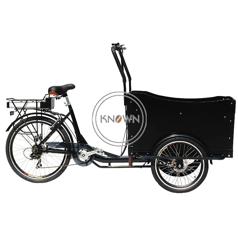 

Hot Sale Customized Electric Food Tricycle Cargo Pedal Bike Carry Children Cart