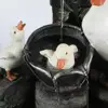 Изображение товара 1