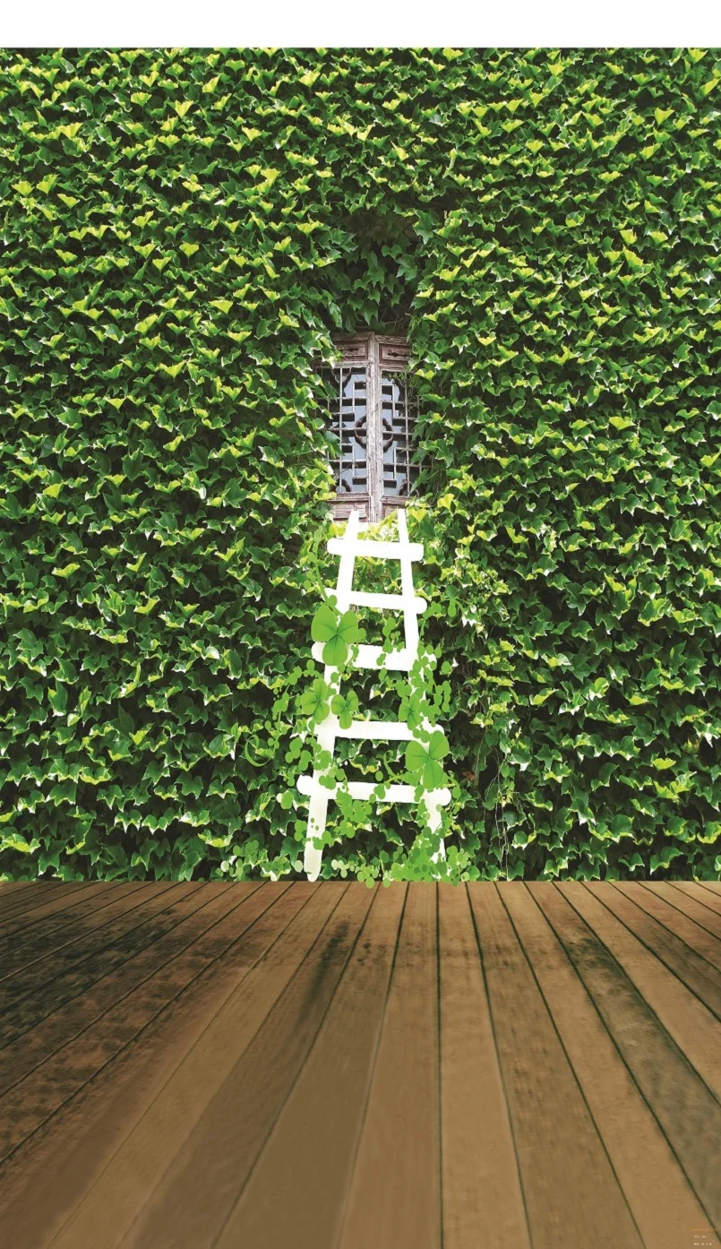 Реквизит для фотостудии Nitree фон фотосъемки уличный цветок дверь Дерево Трава