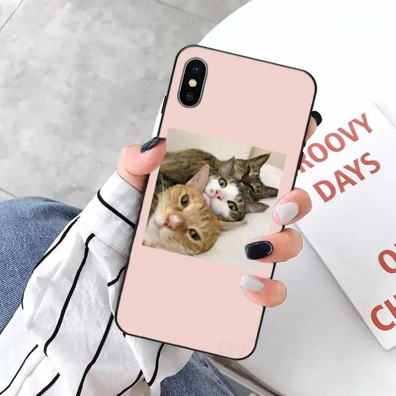 

Aesthetic Cute Animal Cat Phone Cases for iPhone 11 12 pro XS MAX 8 7 6 6S Plus X 5S SE 2020 XR mini