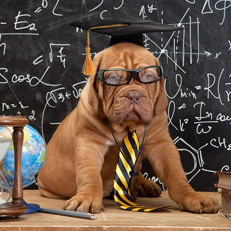 Benepaw черная собака шляпа Выпускной Желтый кисточкой академические шапки для собак Маленькие Средние вечерние Косплей Костюм для домашних животных аксессуары