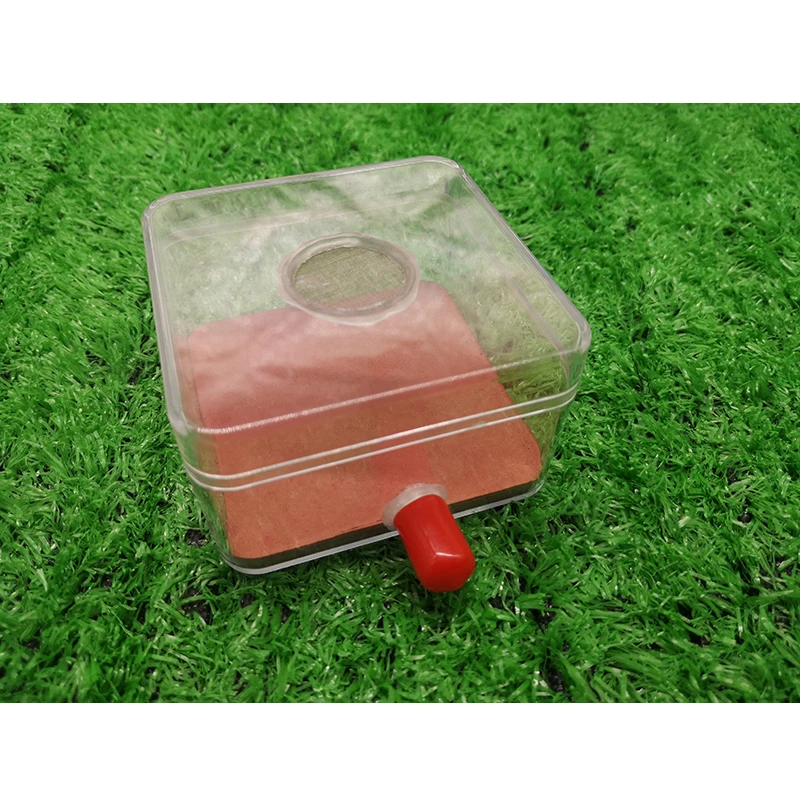 Муравьиная прозрачная площадь действия соединяет Муравьиное гнездо акриловый