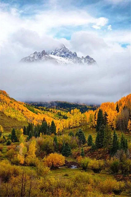 2020 алмазная живопись MEIAN зимняя Алмазная вышивка снежным пейзажем