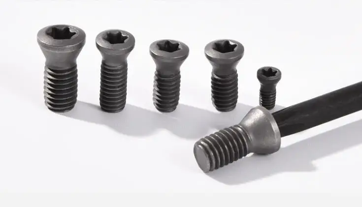 Инструменты LS 10 шт. фрезерные вставки токарные инструменты лезвие винты Жесткий