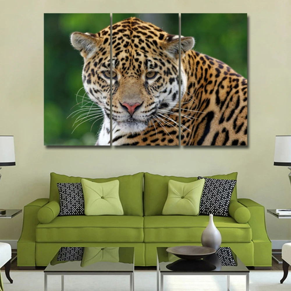 

Male leopard observing prey 3 piece KIT HD Canvas Painting Modern Home Decoration Living Room Wall Decor Picture