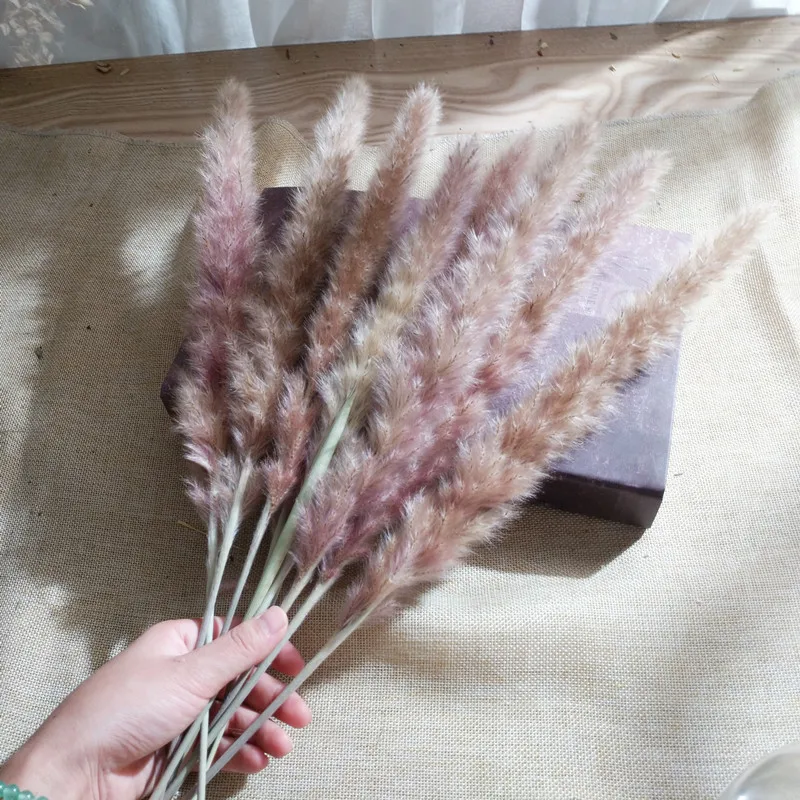 

30Pcs Dried Small Pampas Grass Phragmites Communis Wedding Home Christmas decoration Natural Flowers Bulrush Arrangement