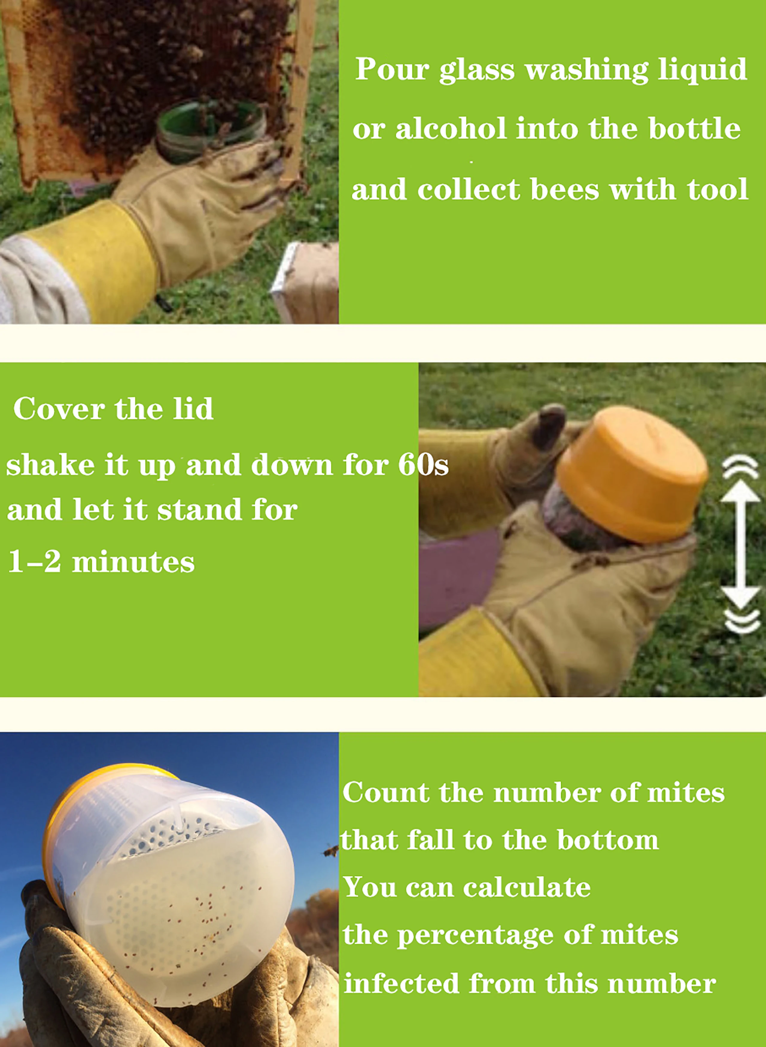 Коробка для обнаружения клещей пчеловодства вароа контроль в бутылке