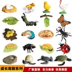 Миниатюрные насекомые, морские животные, семена растений, цикл роста, модель лягушки, курицы, черепахи, улитки, биология, коллекционные обучающие игрушки