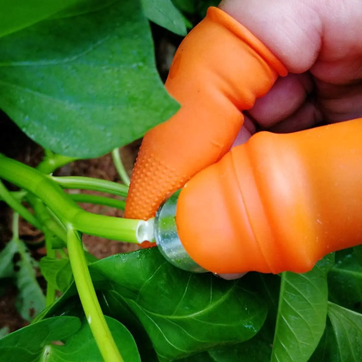

Thumb Cutter Gardening Tools Pruning Shears Garden Picking Plant Vegetables Separator Finger Tool Multifunction Kitchen Cutter