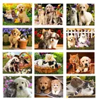 Масляные краски по номерам в виде кошек и собак 50x40 см фото картина маслом по Набор цифр подарок Раскраска по номерам холст стены набор