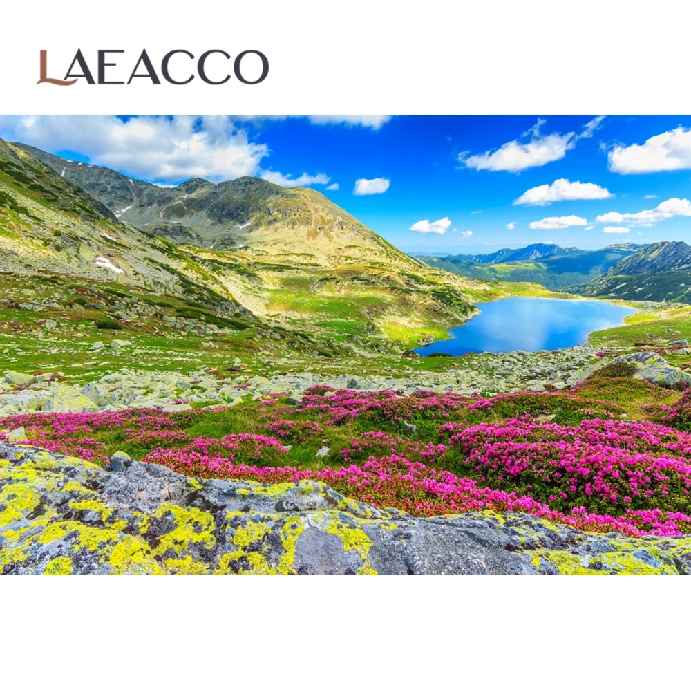 Laeacco горы зеленый лес Луг дом облачный Живописный фон для фотосъемки на заказ