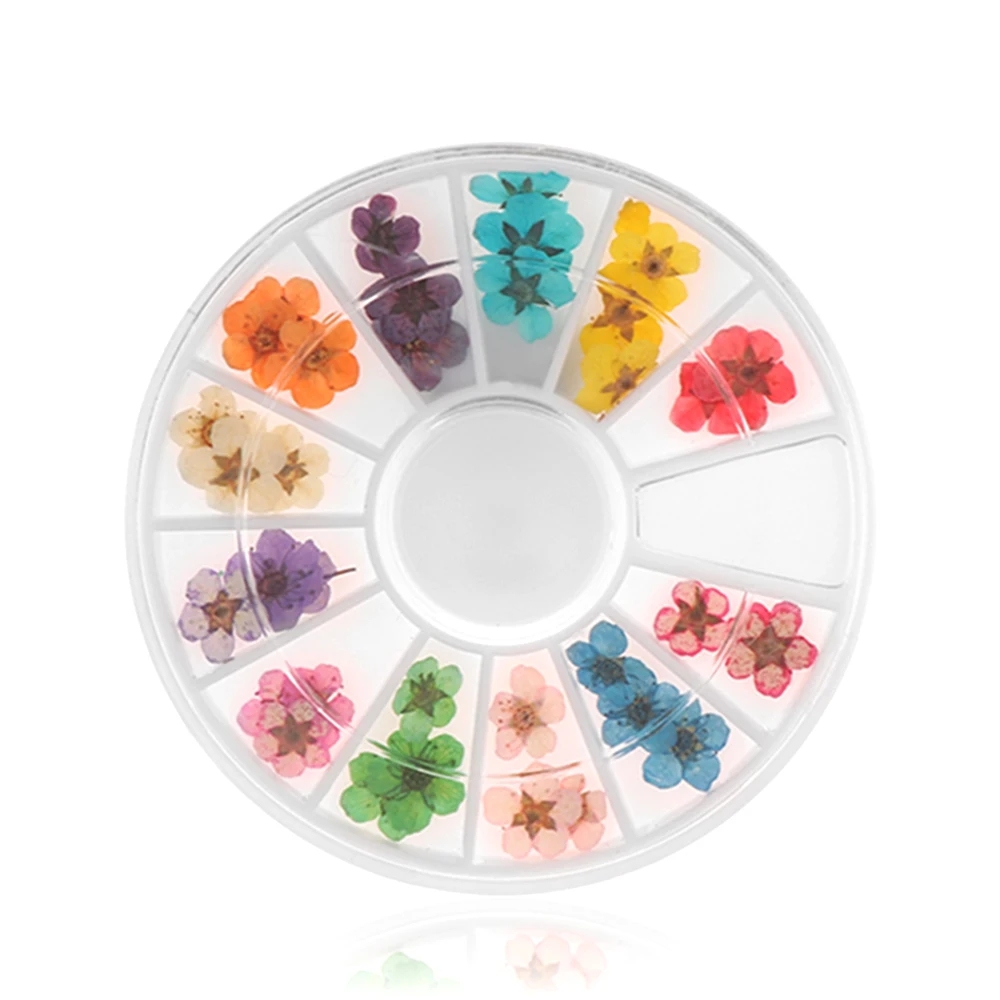 1 коробка 3D смешанный высушенный цветок для ногтей художественное украшение