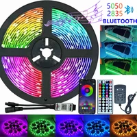 infraredbluetoothwifi led strip lights rgb 5050 2835 flexible lamp tape ribbon with diode dc 12v 5m 10m remote controladapter