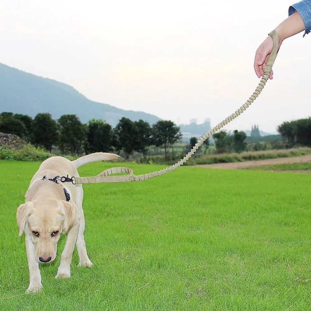

Dog Training Bungee Leash Elastic Dog Leads Rope