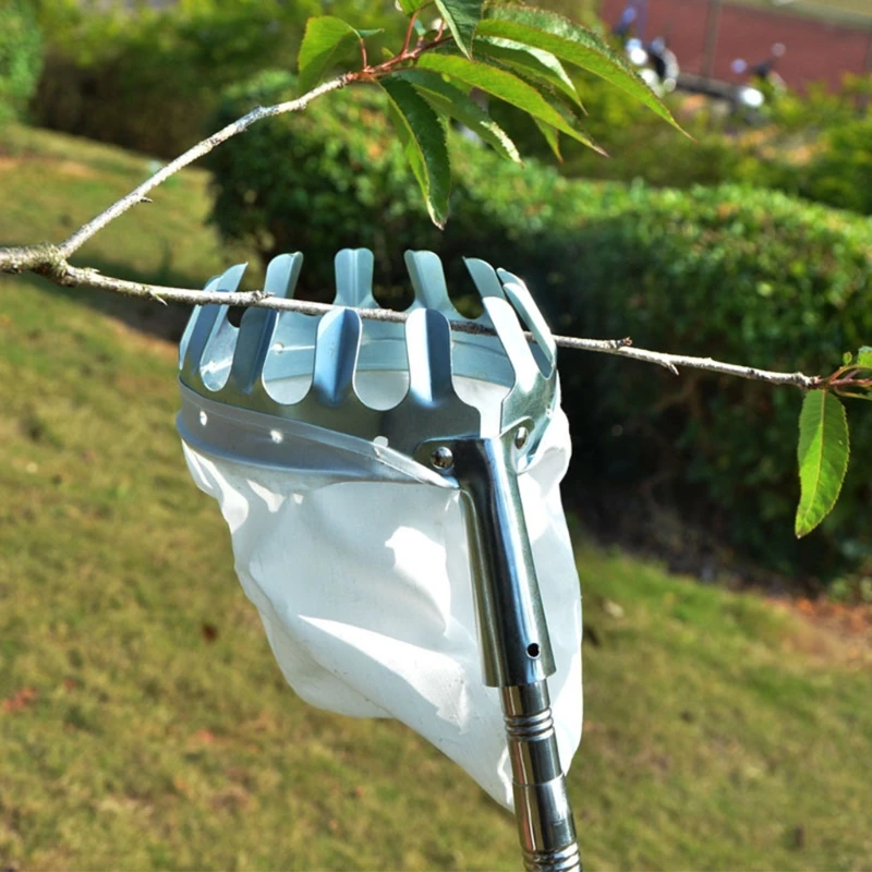 

Fruit Picker Adjustable Lightweight Fruit Catcher Tool - Stainless Steel Orange Pear Man-go and Other Fruit Tree