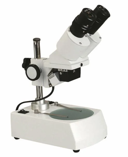 

China Hot sale Stereo Microscope with high quality used in sculpture